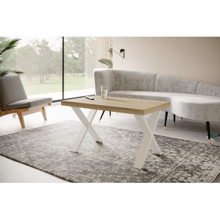 Konferenční stolek LOFT X 120x70 cm Bílá Dub sonoma Alpimeble