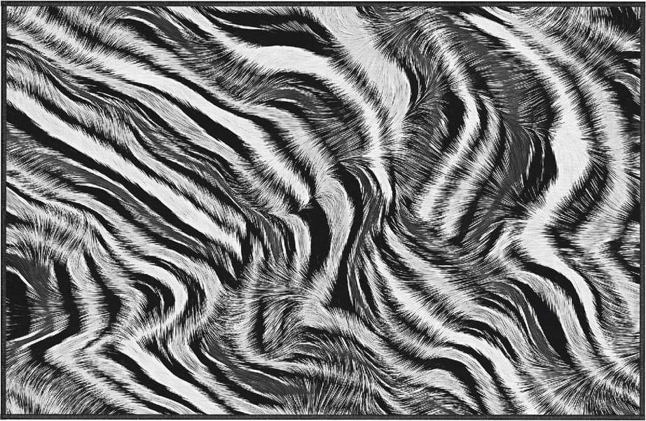 Koberec Oyo home Zebra