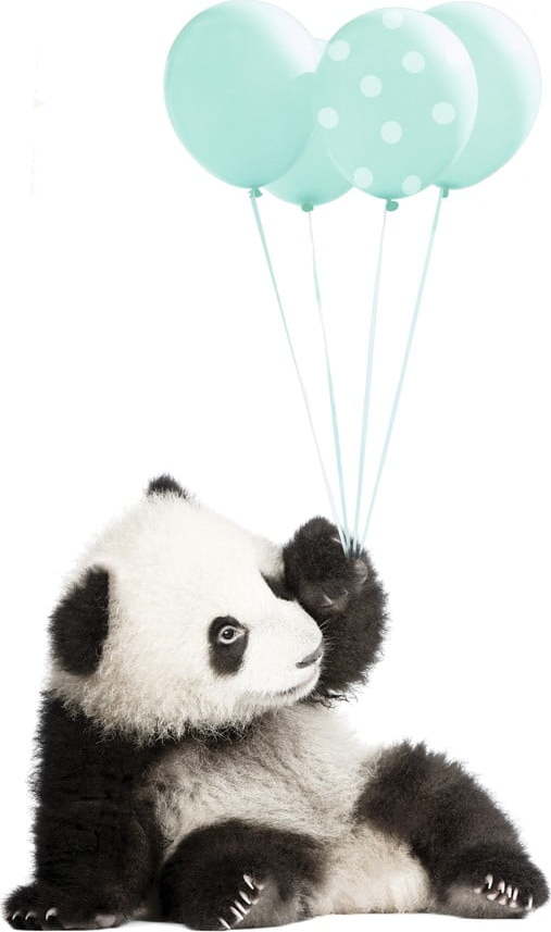 Nástěnná samolepka Dekornik Minty Panda