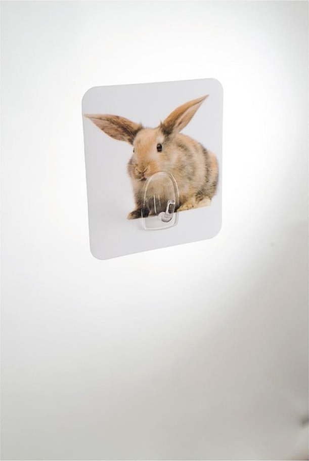 Nástěnný háček Compactor Magic Rabbit Compactor