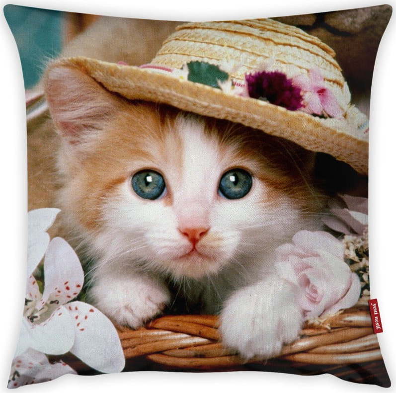 Povlak na polštář Vitaus Cute Kitten
