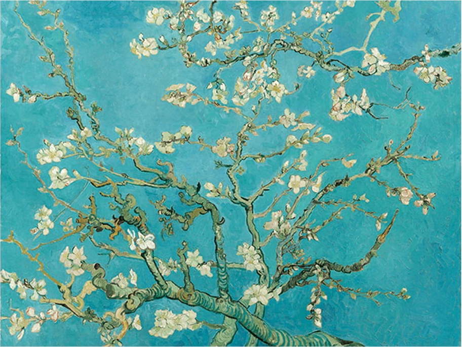 Reprodukce obrazu Vincenta van Gogha - Almond Blossom