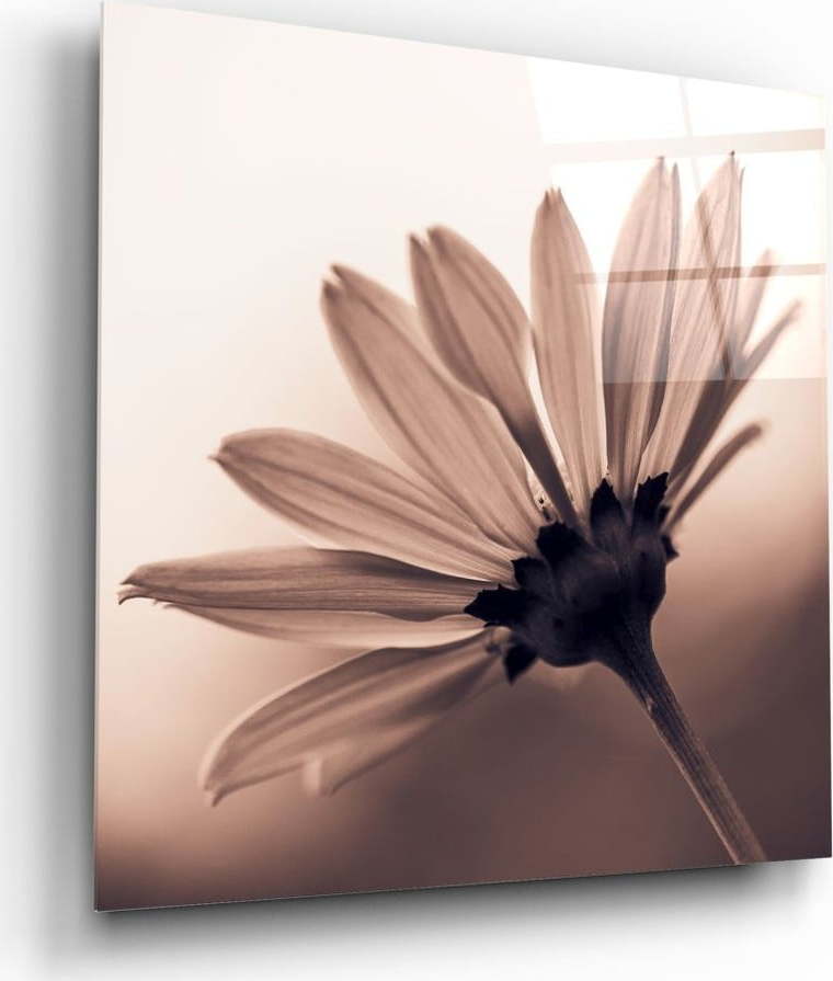 Skleněný obraz Insigne Flower