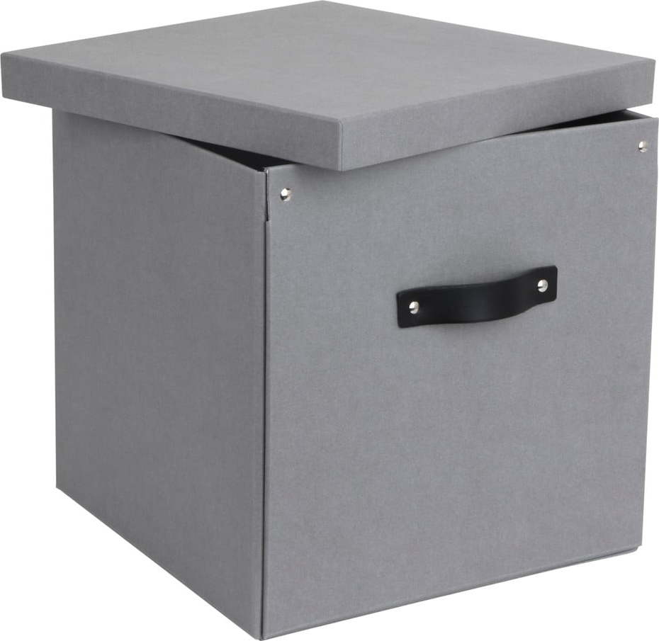 Světle šedá úložná krabice Bigso Box of Sweden Logan Bigso Box of Sweden