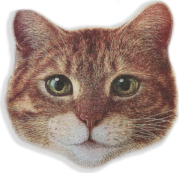 Dekorativní polštář u mikrovlákna Really Nice Things Cat Face Really Nice Things