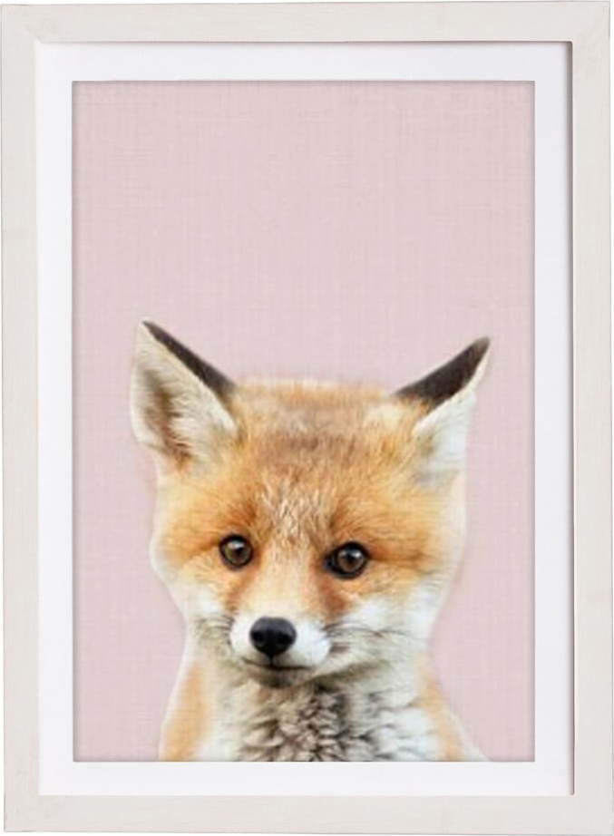Nástěnný obraz v rámu Querido Bestiario Baby Fox