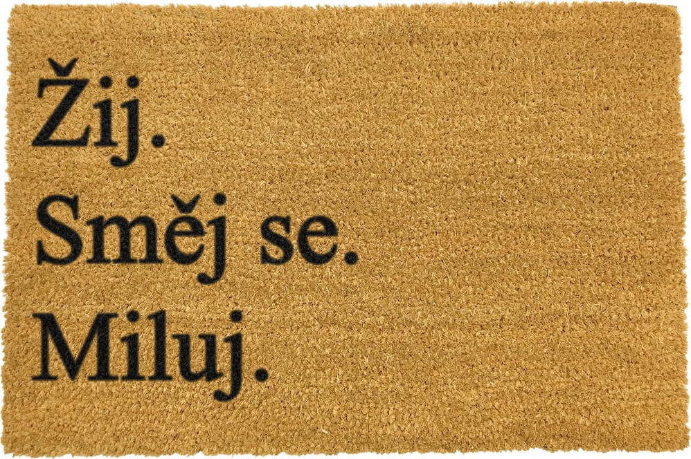 Rohožka z přírodního kokosového vlákna Artsy Doormats Žij a miluj