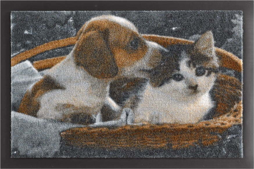 Rohožka Hanse Home Animals Dog and Cat