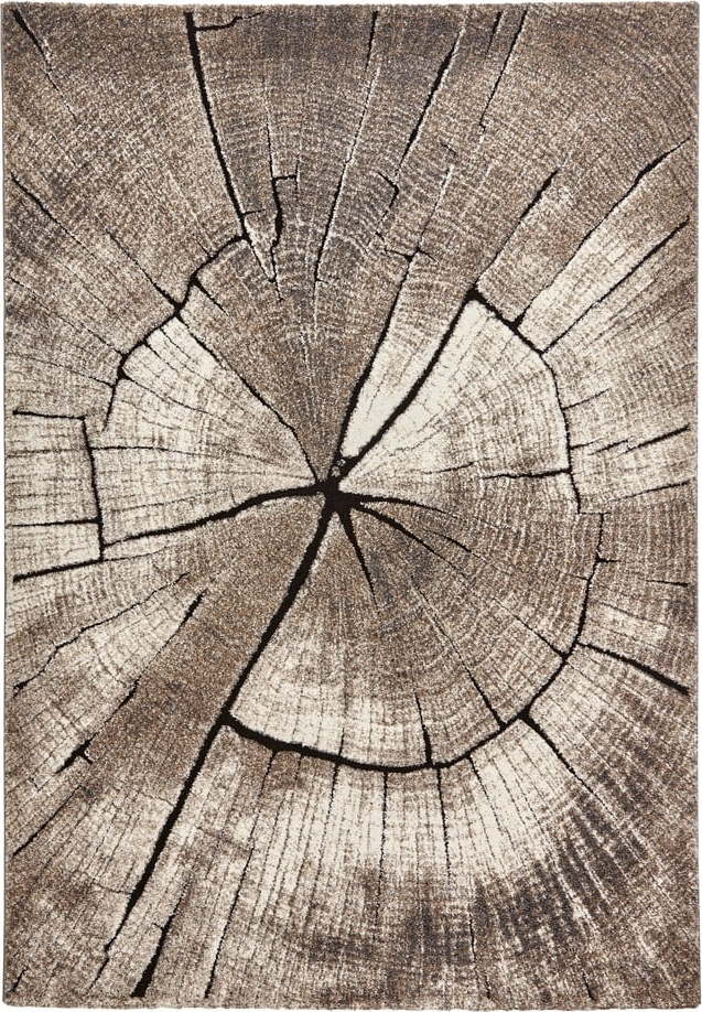 Béžový koberec 170x120 cm Woodland - Think Rugs Think Rugs
