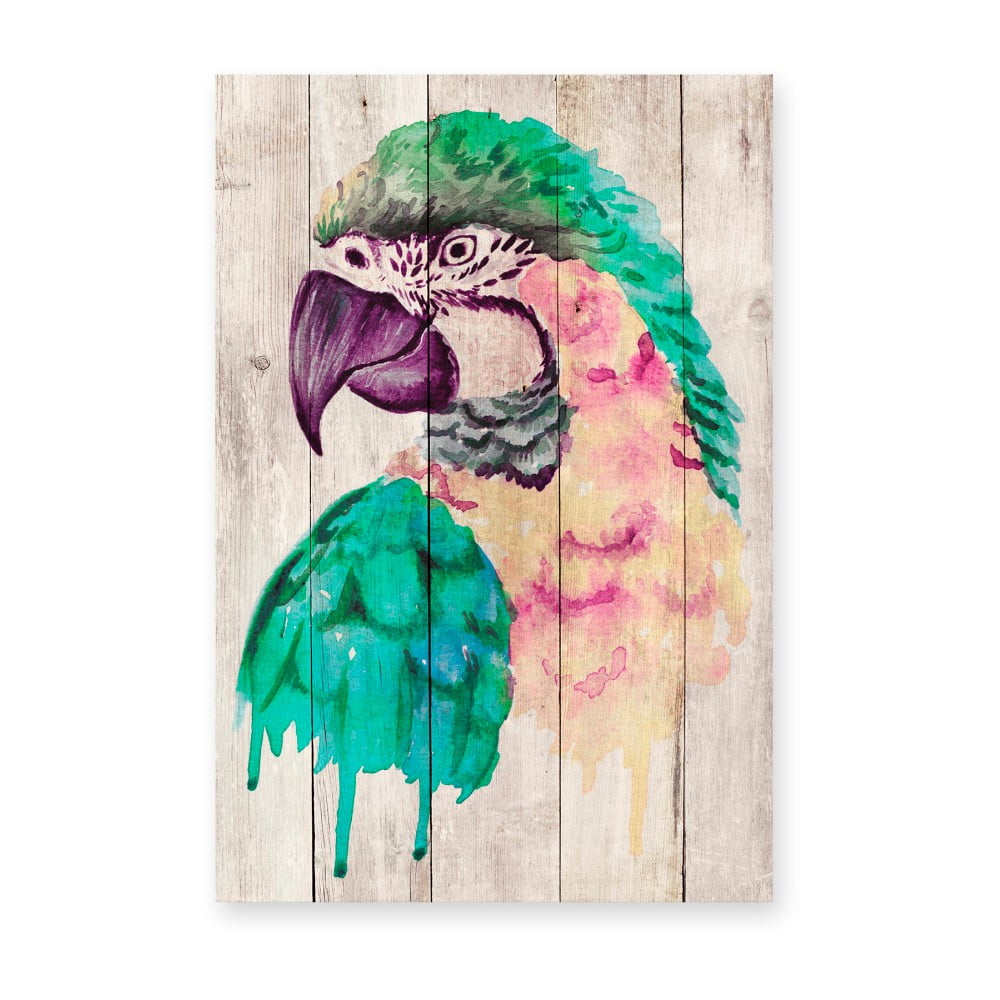 Nástěnná dekorace z borovicového dřeva Madre Selva Watercolor Parrot