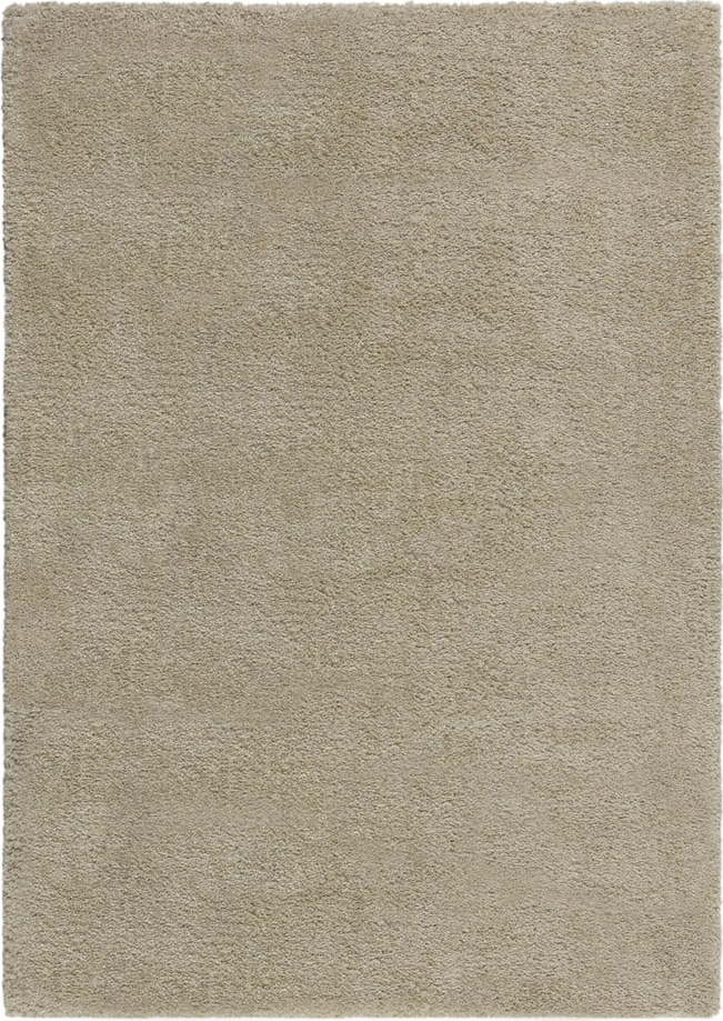 Béžový koberec 120x170 cm – Flair Rugs Flair Rugs