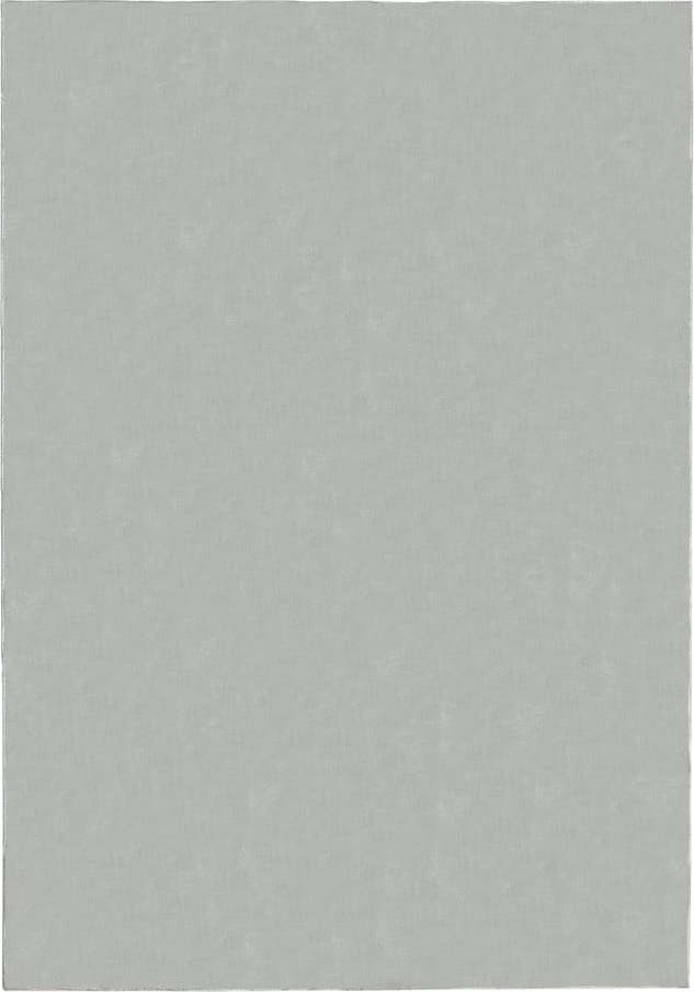 Světle šedý koberec 160x230 cm – Flair Rugs Flair Rugs