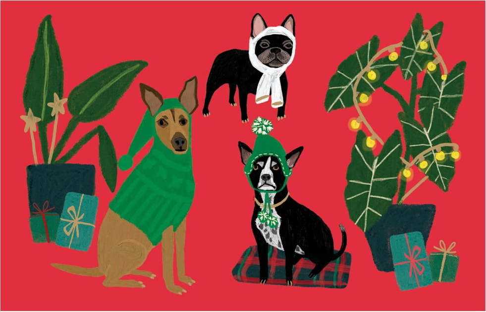 Vánoční přání v sadě 5 ks Cat and Dog Palais – Roger la Borde Roger la Borde