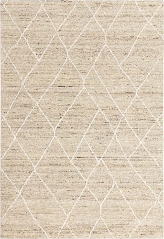Vlněný koberec v přírodní barvě 200x290 cm Noah – Asiatic Carpets Asiatic Carpets