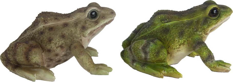 Polyresinová zahradní soška Frog – Esschert Design Esschert Design