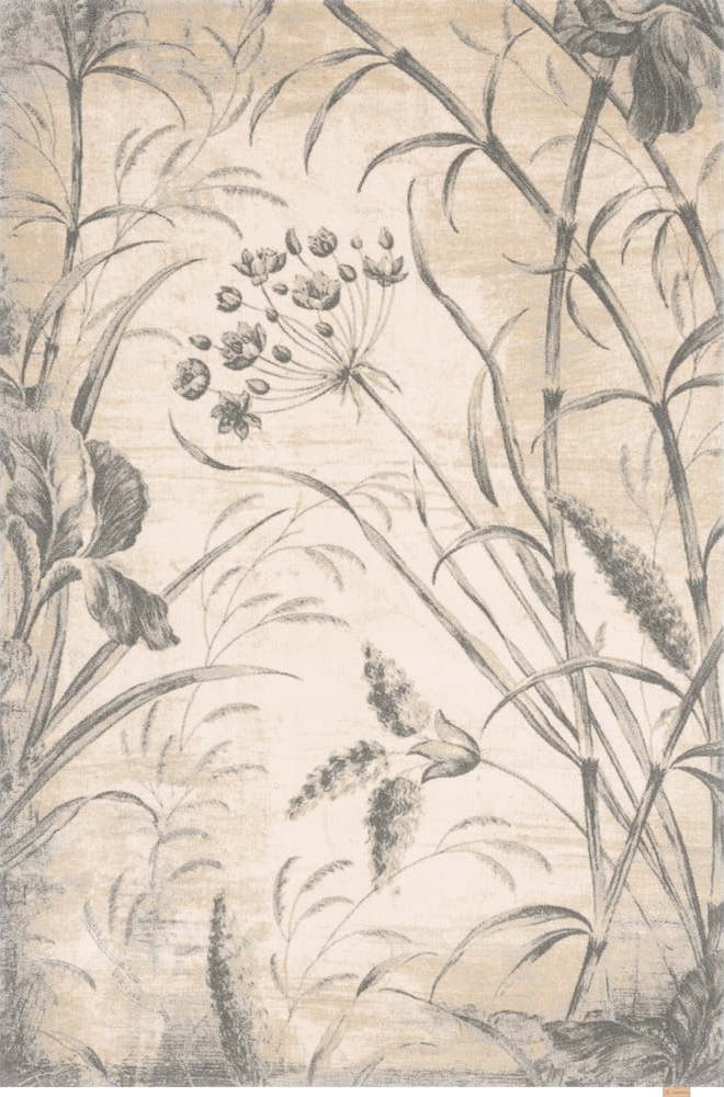 Krémový vlněný koberec 160x240 cm Botany – Agnella Agnella
