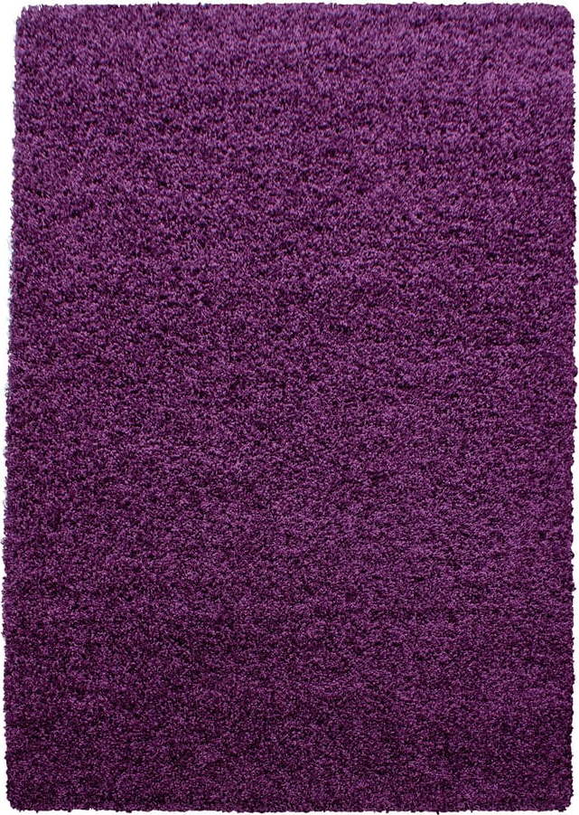 Tmavě fialový koberec 140x200 cm Life – Ayyildiz Carpets Ayyildiz Carpets